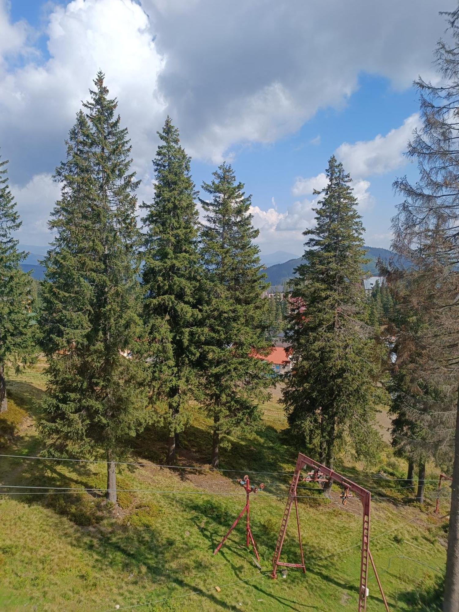 Отель Маріна Драгобрат Экстерьер фото